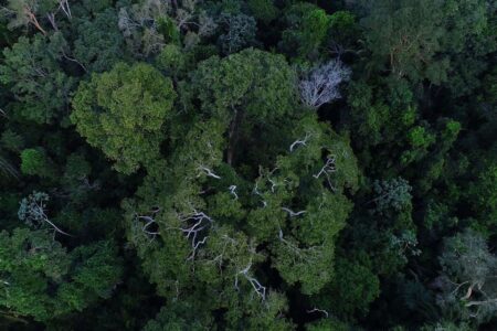 CÚPULA SERÁ “NOVO TEMPO” PARA COMUNIDADES AMAZÔNICAS, AFIRMA INSTITUTO