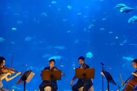 AQUARIO TERÁ CONCERTOS A LUZ DE VELAS NO DIA DAS MÃES