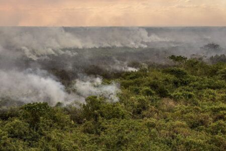 PANTANAL PODERÁ TER CRISE HÍDRICA HISTÓRICA EM 2024, APONTA ESTUDO