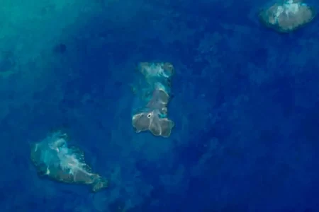 PESQUISA APONTA 20,4 MIL HECTARES DE RECIFES DE CORAL NA COSTA DO PAÍS