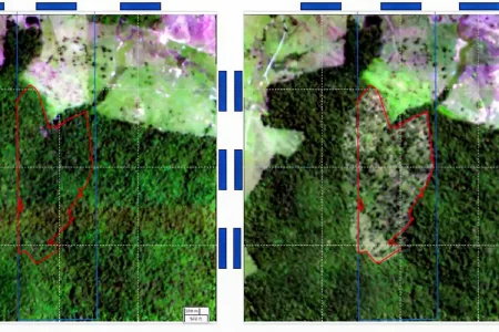 BNDES USA IMAGENS DE SATÉLITE PARA BARRAR EMPRÉSTIMO A DESMATADORES