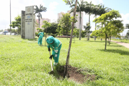 CAMPOS: VIAS VERDES JÁ REALIZOU MAIS DE 80% DO PLANTIO DE MUDAS